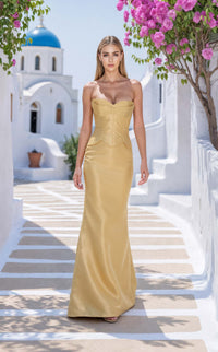 Terani 261E6292 Dress view 1