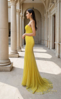 Terani 261P6187 Dress view 2