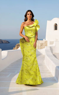 Terani 261e6678 Dress view 1