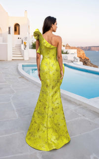 Terani 261e6678 Dress view 2