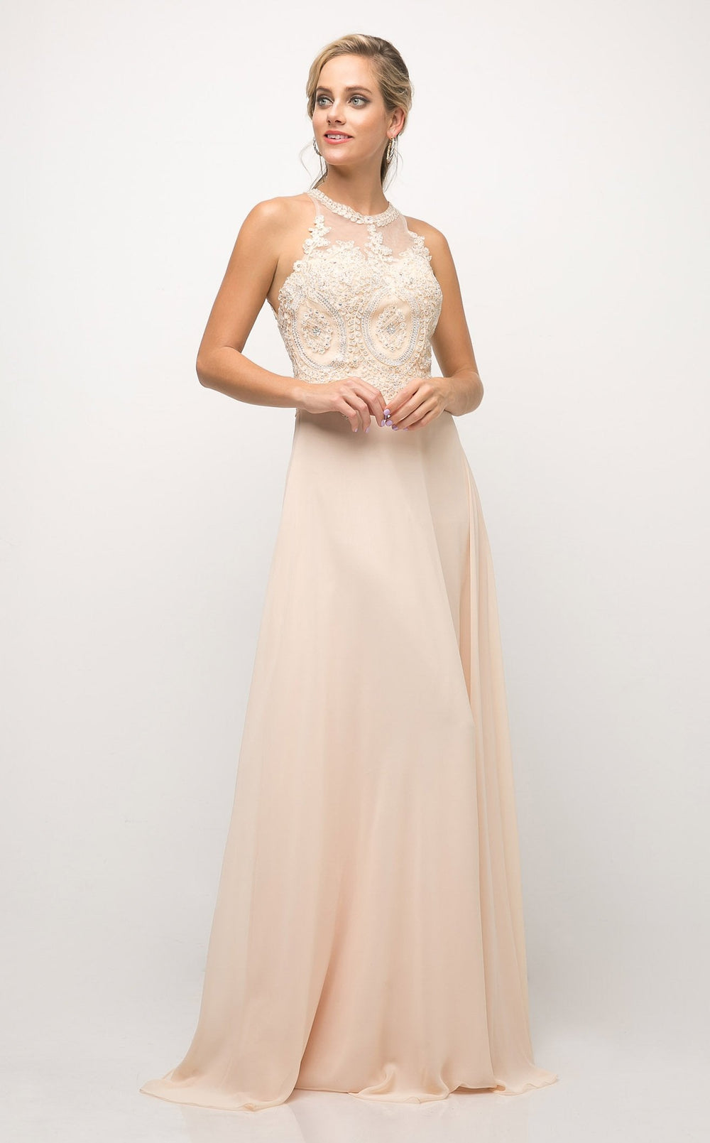 Exquisite Cinderella Divine UJ0120 Dress detail view - VOLAKK