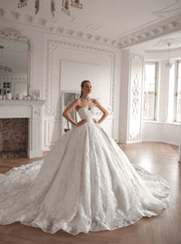 Lace Ball Gown Elmi view 5